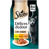 Sheba Délices du jour in saus kip & kalkoen 6-pack