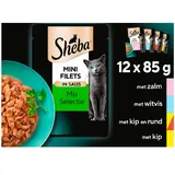 Sheba Mini filet in saus 12-pack