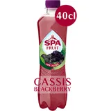 Spa FRUIT Bruisende Fruitige Frisdrank Cassis Blackberry