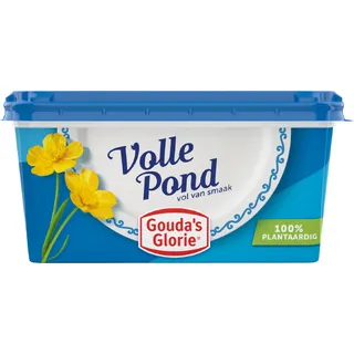 Gouda's Glorie Volle pond
