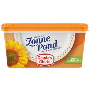 Gouda's Glorie Zonnepond