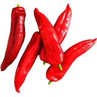 Huismerk Puntpaprika