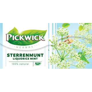 Pickwick Sterrenmunt kruidenthee