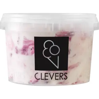 Clevers IJs Yoghurt bosvruchten ijs