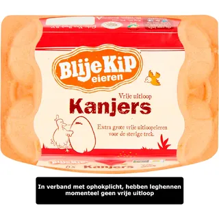 Blije Kip eieren Vrije uitloop kanjers