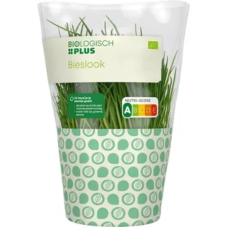 Huismerk Bieslook pot