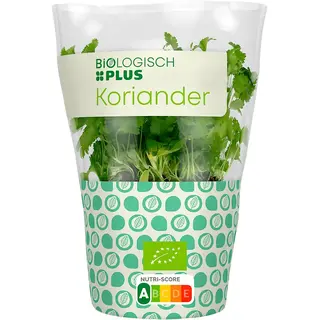 Huismerk Koriander pot