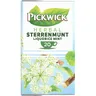 Sterrenmunt kruidenthee