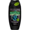 Men Refreshing 3-in-1 douchegel met etherische eucalyptusolie en zeezoutextract 250ml