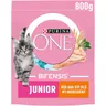 Purina ONE Junior 1-12 maanden rijk aan kip